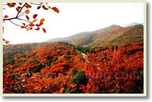 Huanghuacheng Great Wall + Hongluo Temple Day Tour